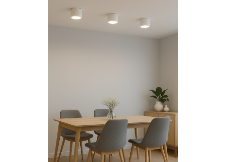 Q-14AD LED Stropní bodové světlo 3CCT bílé QTEC