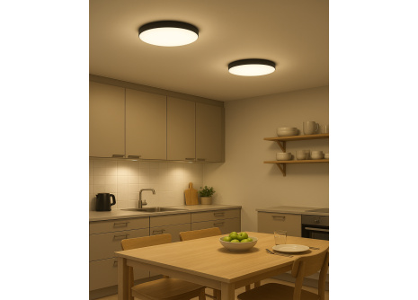 Q-221CP Led stropní svítidlo FLUME 10W 850lm 4000K ø22,5cm/kruhové černé QTEC