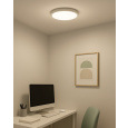 LED stropní 3CCT svítidlo TR-74S - 24W 2500lm ø30x2,5cm Trixline
