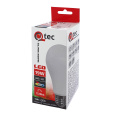 Qtec 19W LED žárovka E27 2700K A65