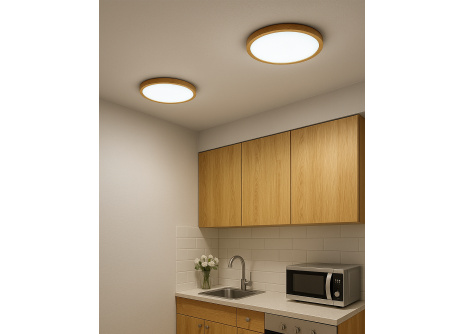 LED stropní 3CCT svítidlo TR-76S - 24W 2500lm ø30x2,5cm Trixline